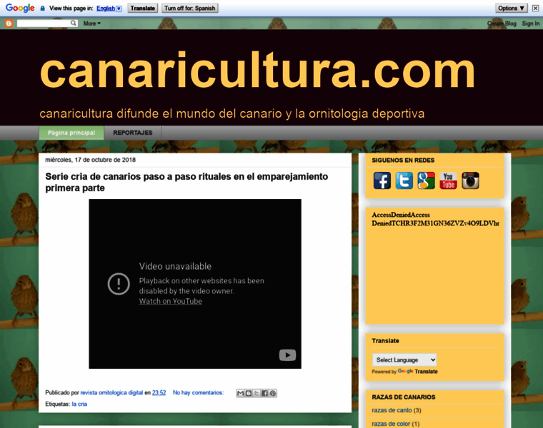 Canaricultura.com thumbnail