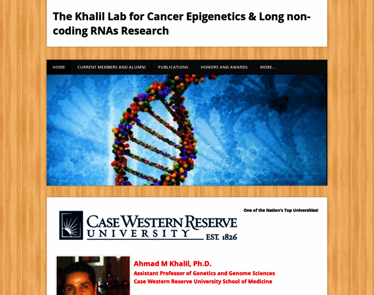 Cancerepigenetics.net thumbnail