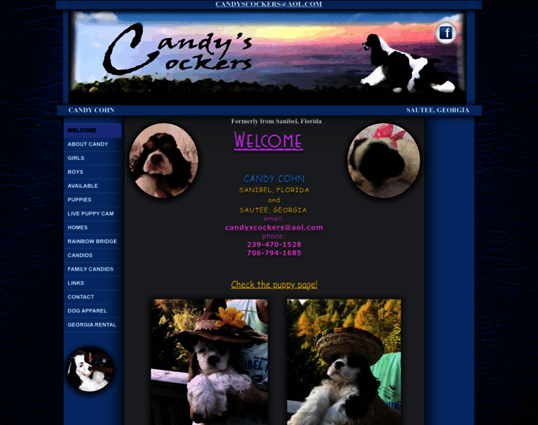 Candyscockers.com thumbnail