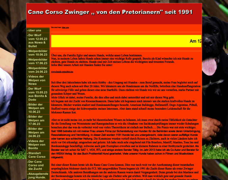 Cane-corso-zwinger.de thumbnail