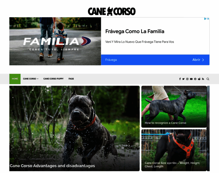 Canecorso-dog.com thumbnail