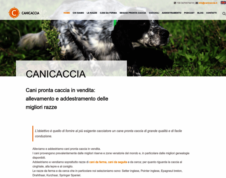 Canicaccia.it thumbnail