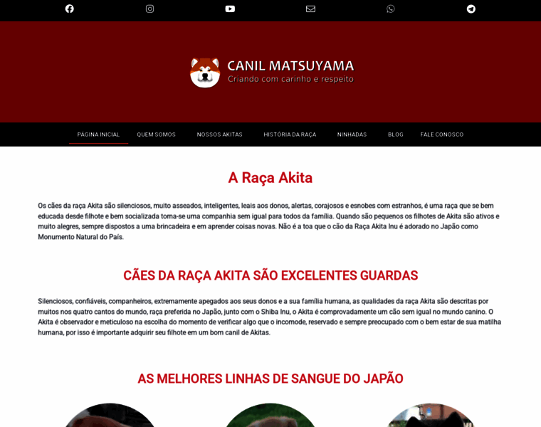 Canilmatsuyama.com.br thumbnail