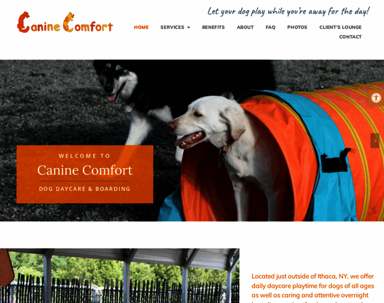 Caninecomfortdaycare.com thumbnail