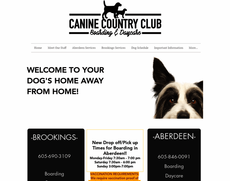 Caninecountryclubsd.com thumbnail