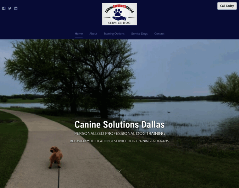 Caninesolutionsdallas.com thumbnail