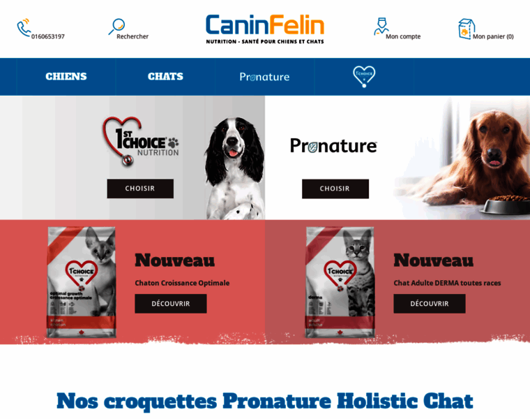 Caninsfelins.fr thumbnail