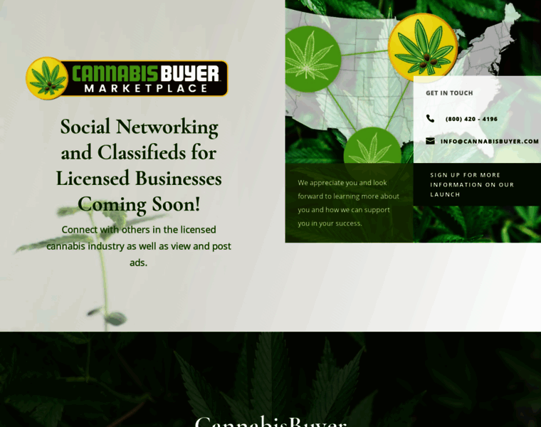 Cannabisbuyer.com thumbnail