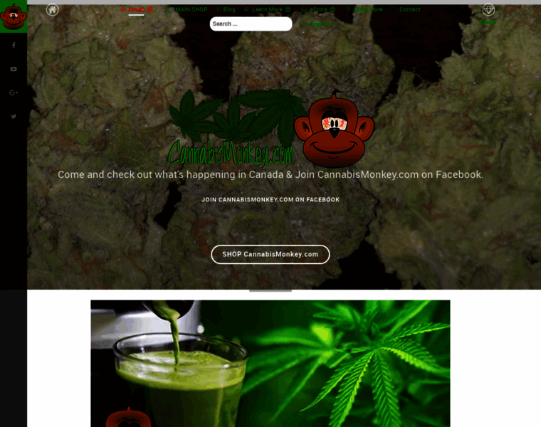 Cannabismonkey.com thumbnail