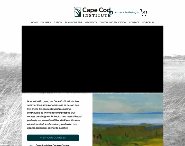 Cape.org thumbnail