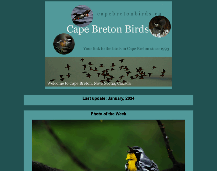 Capebretonbirds.ca thumbnail