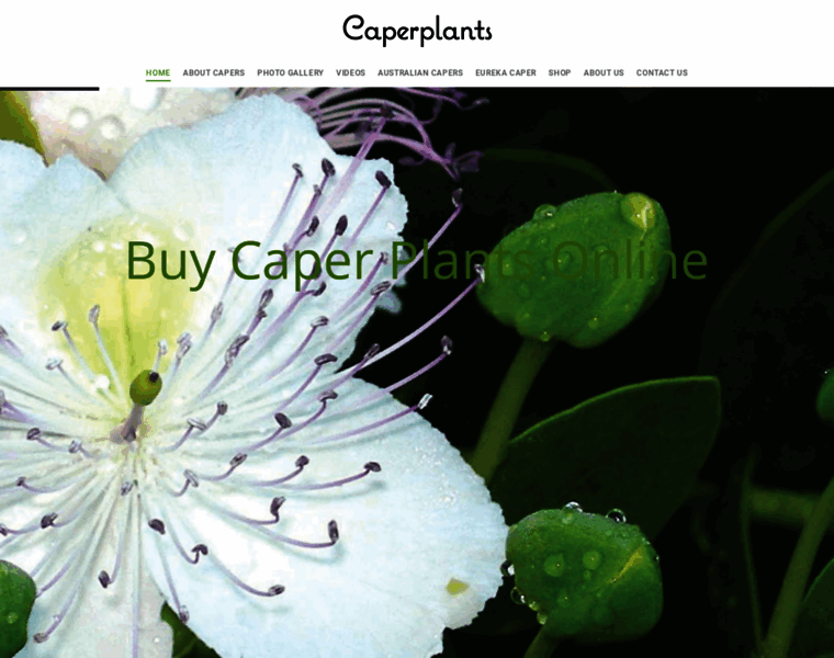 Caperplants.com thumbnail