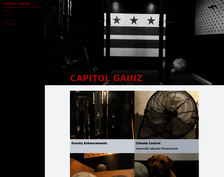 Capitolgainz.com thumbnail