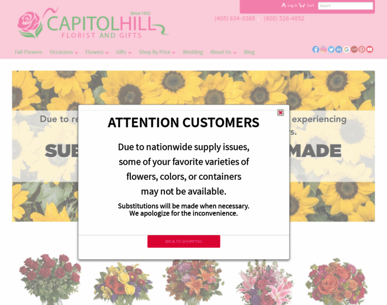 Capitolhillflorist.com thumbnail
