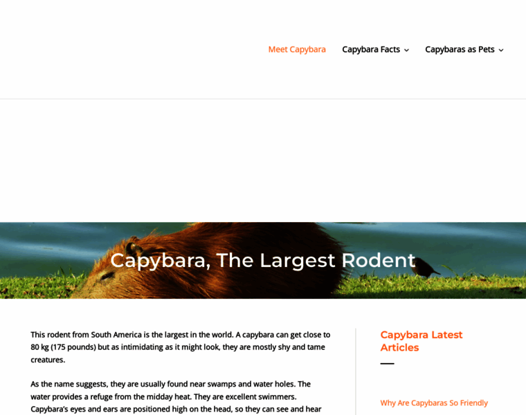 Capybarafacts.com thumbnail