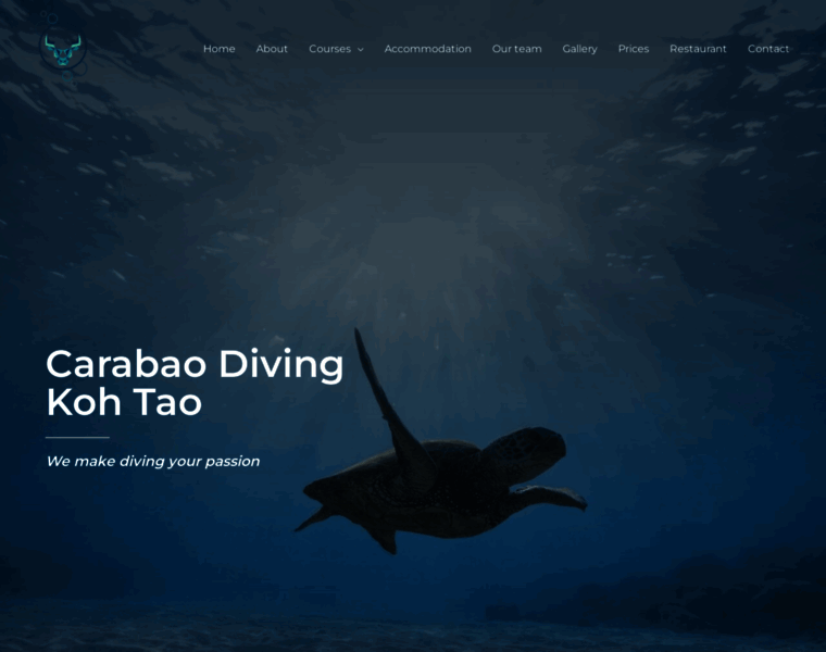 Carabaodivingkohtao.com thumbnail