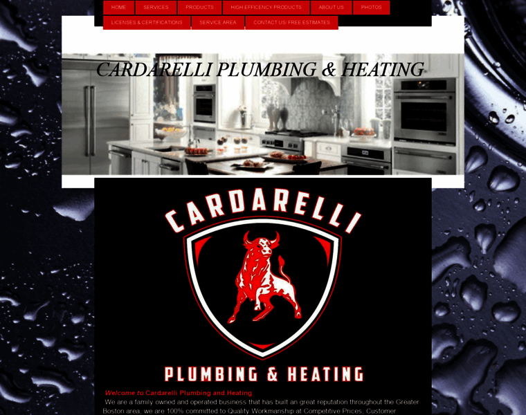 Cardarelliplumbing.com thumbnail