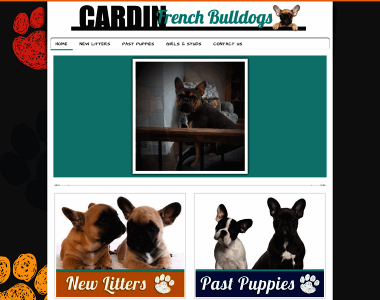 Cardinfrenchbulldogs.com thumbnail