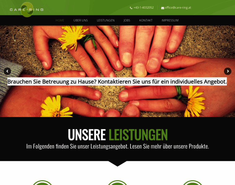 Care-ring.or.at thumbnail