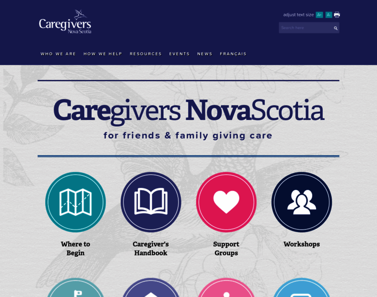 Caregiversns.org thumbnail