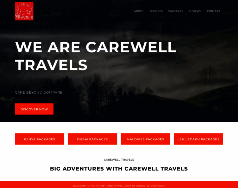 Carewelltravels.com thumbnail