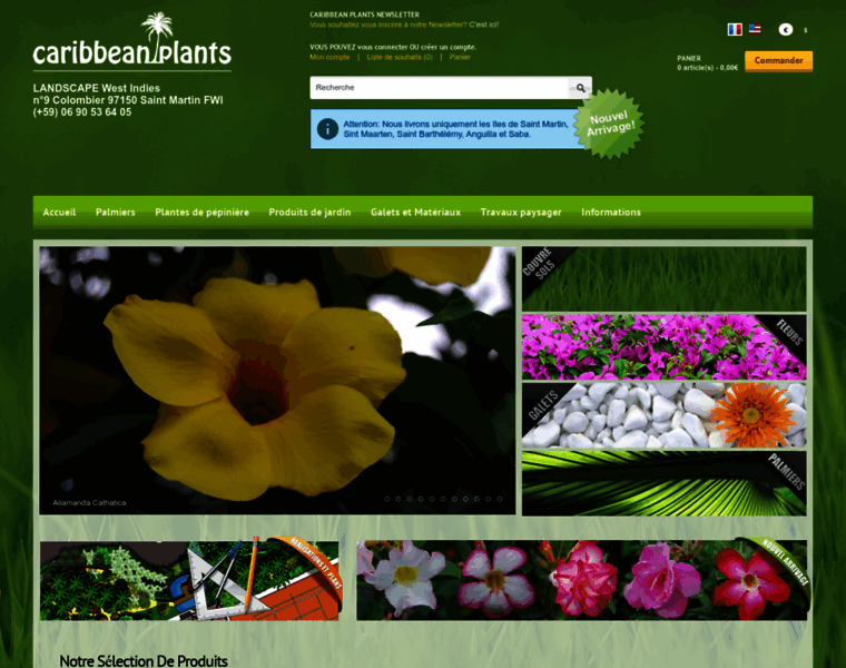 Caribbean-plants.com thumbnail