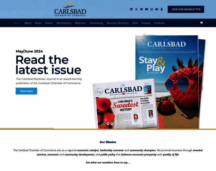 Carlsbad.org thumbnail