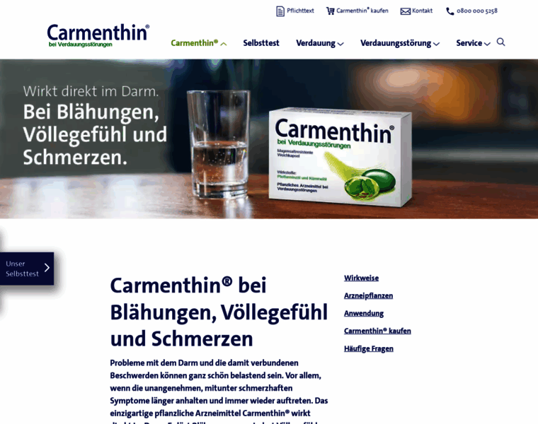 Carmenthin.de thumbnail