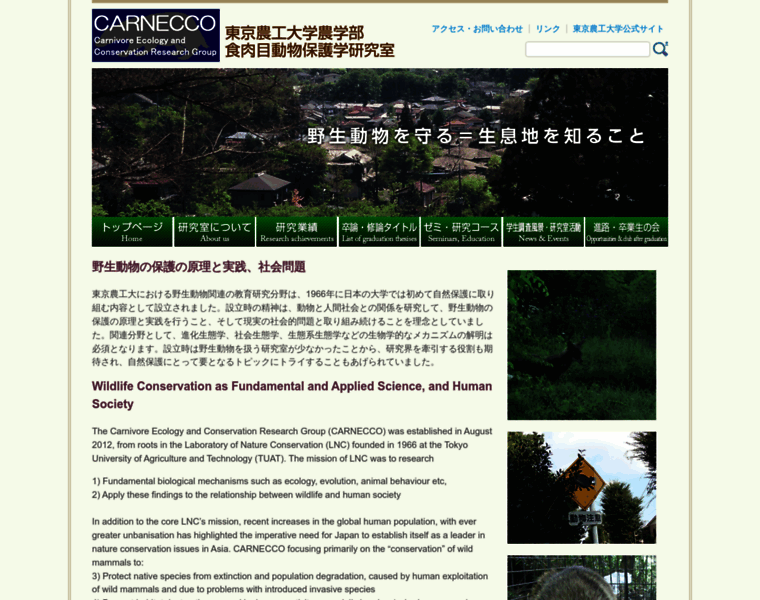 Carnecco.jp thumbnail