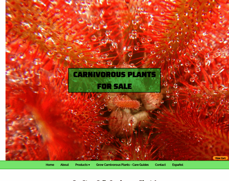 Carnivorousplantsusa.com thumbnail