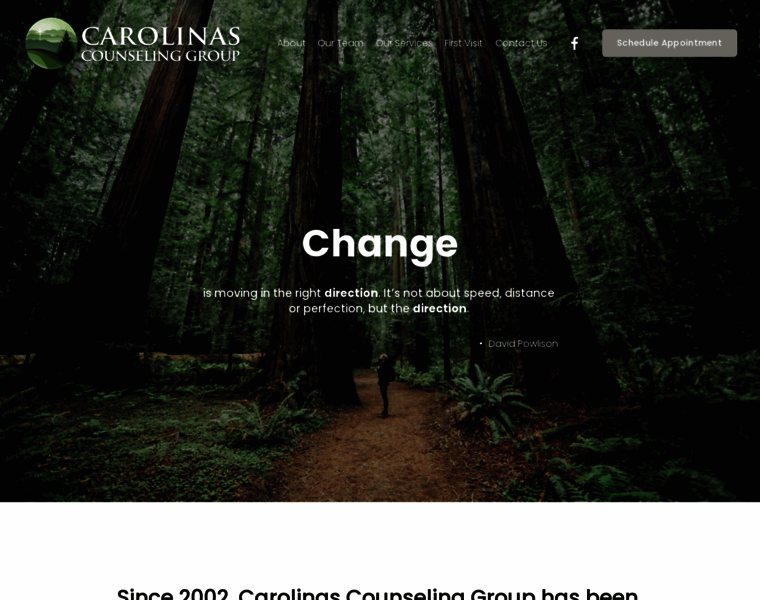 Carolinascounseling.info thumbnail