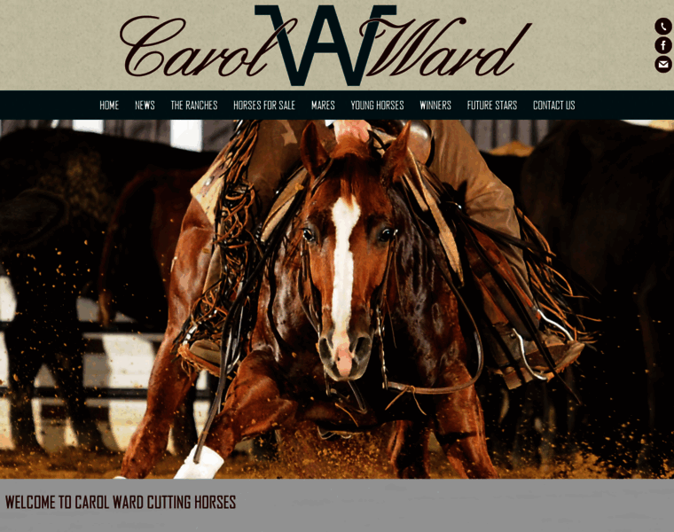 Carolwardcuttinghorses.com thumbnail