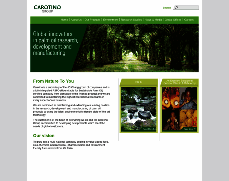 Carotino.com thumbnail