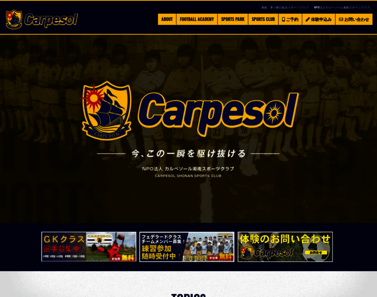 Carpesol.jp thumbnail