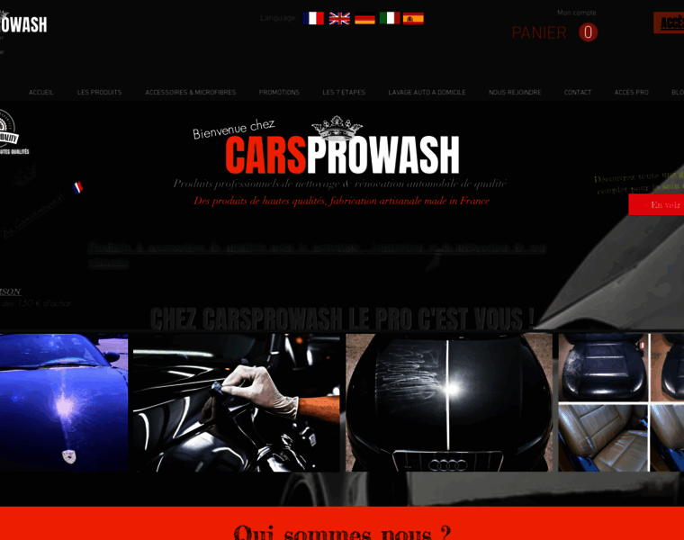 Carsprowash.com thumbnail