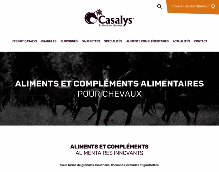 Casalys-nutrition.fr thumbnail