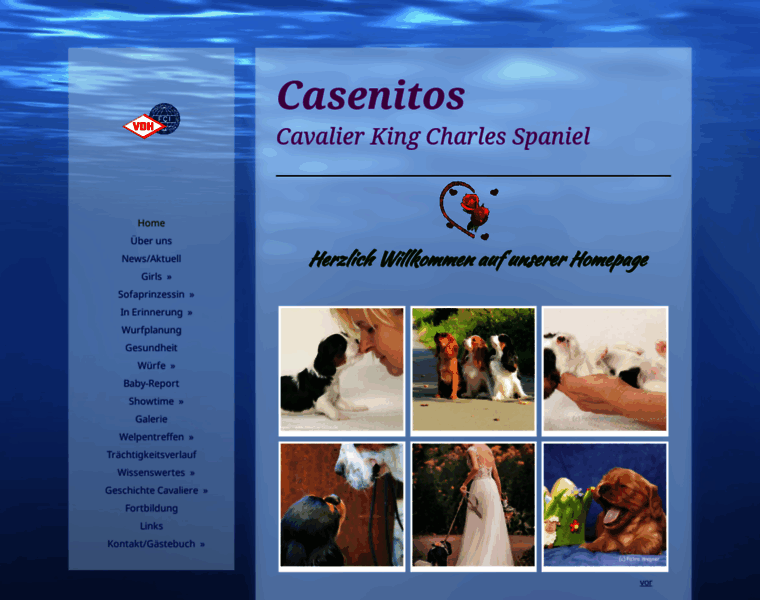 Casenitos-cavaliere.de thumbnail
