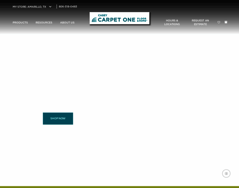 Caseycarpetone.com thumbnail