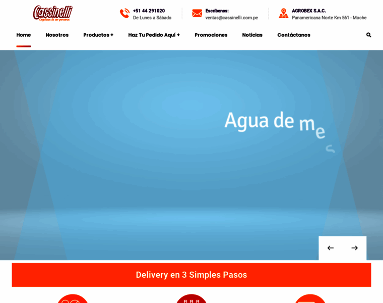 Cassinelli.com.pe thumbnail