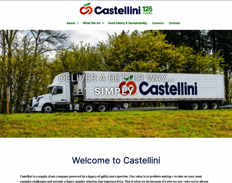 Castellinicompany.com thumbnail