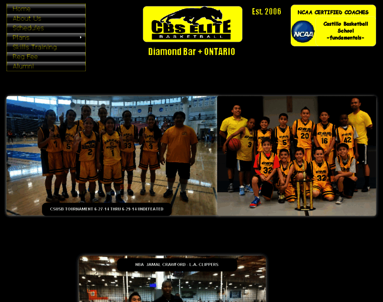 Castillobasketballschool.com thumbnail