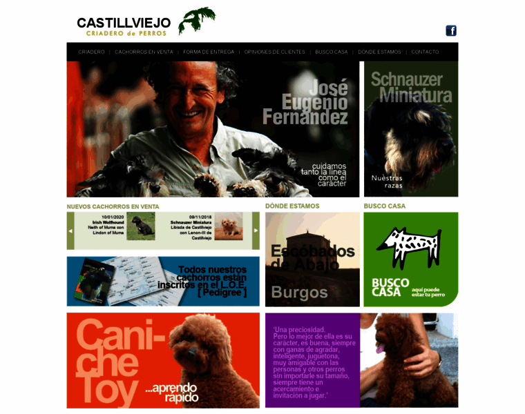 Castillviejo.com thumbnail