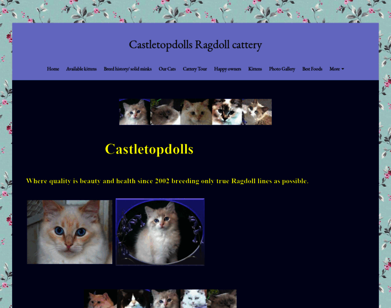 Castletopdolls.net thumbnail