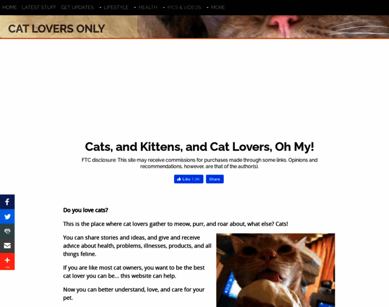 Cat-lovers-only.com thumbnail Cat-lovers-only.com thumbnail