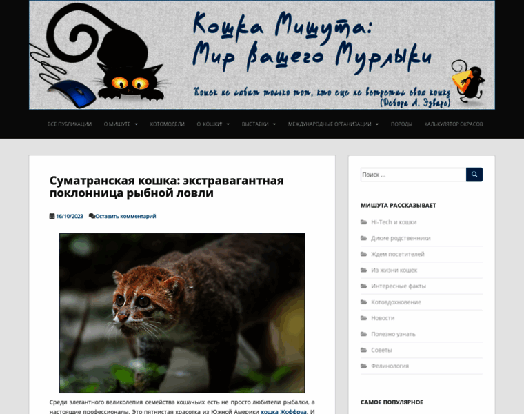 Cat-mishuta.in.ua thumbnail