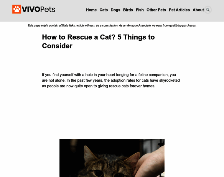 Cat-rescue.org thumbnail