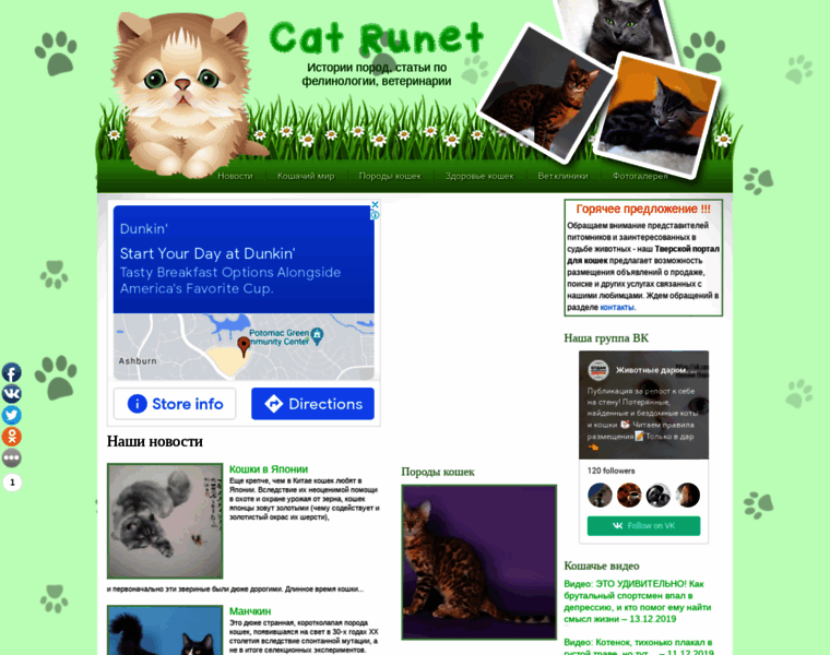 Cat-runet.com thumbnail