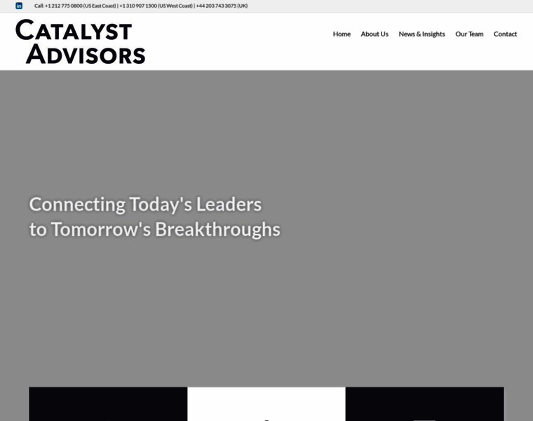 Catalyst-advisorsllc.com thumbnail
