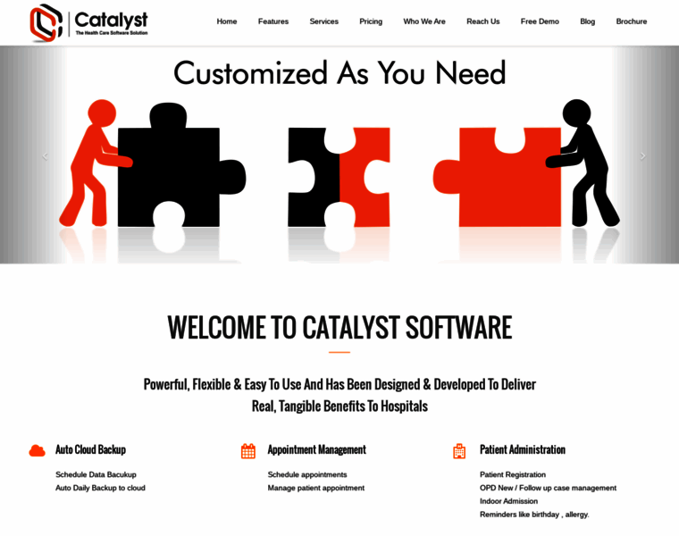 Catalystsoftware.co.in thumbnail