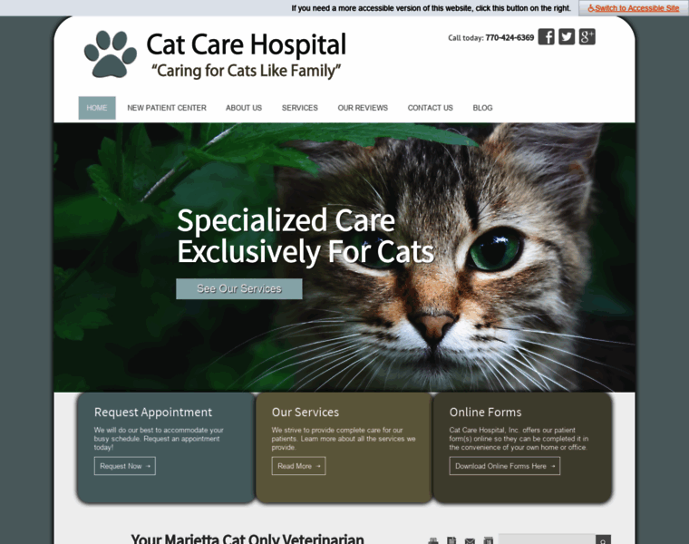 Catcarehospital.com thumbnail